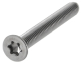 ISO 14581 Senkschrauben mit Innensechsrund (TX) 