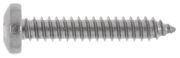 DIN 7981 Linsen-Blechschrauben mit Innensechsrund (TX), C= mit Spitze