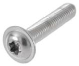 mit Innensechsrund (TX)