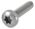 DIN 7500 Gewindefurchende Schrauben mit Linsenkopf, Innensechsrund (TX), FORM C